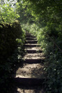 Steps, Near Burnsall, North Yorkshire